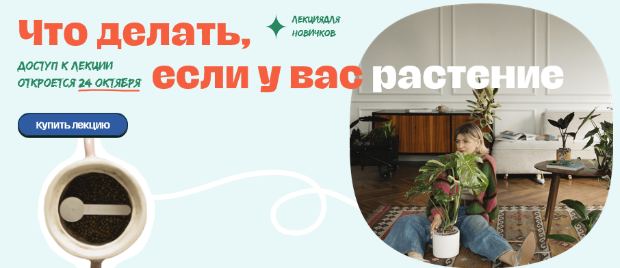 [Яна Строинская] Что делать если у вас растение_ Т_0.png